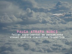 PENSAMIENTO ATRAPA NUBES.