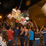 Imported Pinata at Mexicaltzingo Barrio