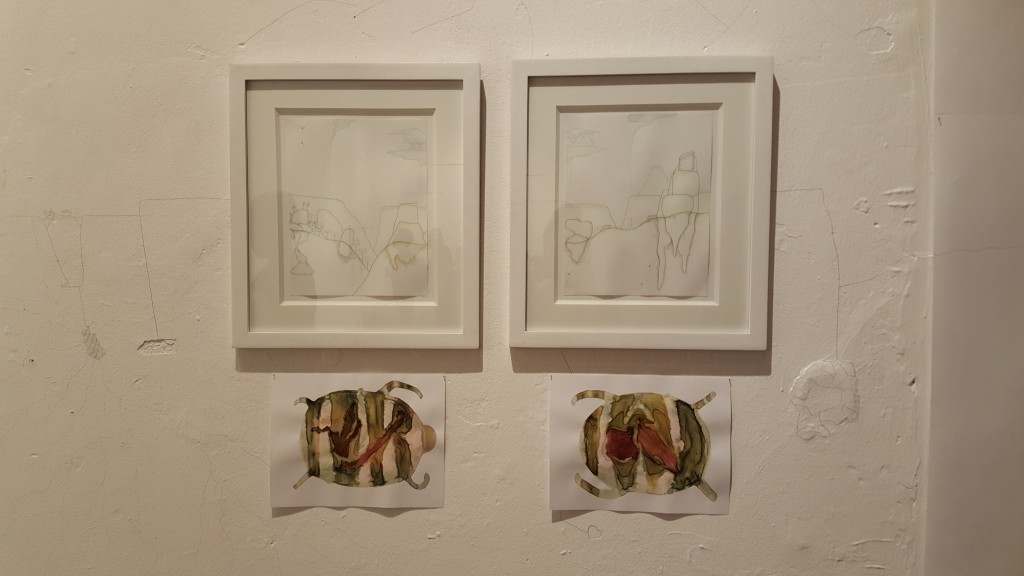 Unknown Energies: Alfredo Ceibal