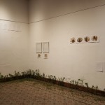 Unknown Energies: Alfredo Ceibal