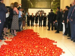 Alfombra roja o 300 kilos de tomate