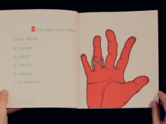 Cinq doigts est un livre pour enfants écrit à l’origine à Berlin-Ouest. Il se compose d’une seule histoire. Publié en Argentine le 26 novembre 1975 par Ediciones de la Flor, il raconte l’histoire de cinq doigts rouges qui, sous la poursuite constante d’une main verte, trouvent la force de s’unir et de devenir un poing. Les deux mains, la droite et la gauche engagent alors un combat. Dans la province de Neuquén, une copie de ce livre est arrivé entre les mains de la famille d’un colonel qui prit alors toutes les dispositions nécessaires pour supprimer le livre du circuit du Ministère de l’Education durant la dictature, donnant pour argument de cette censure que la main vaincue portait les couleurs des treillis de l’armée nationale.